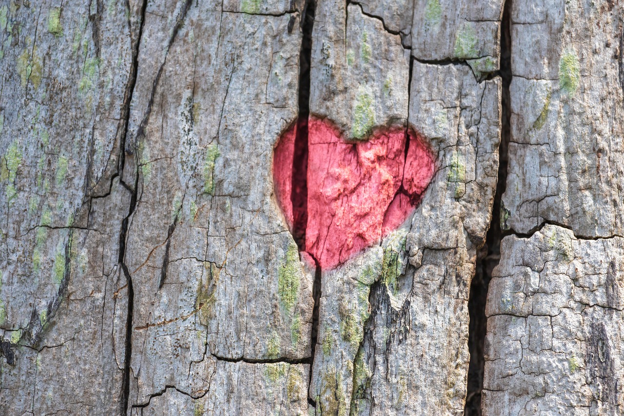 pau d'arco bark